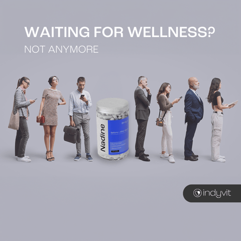 Indyvit AG X R17 Ventures AG | Performance Marketing Agency